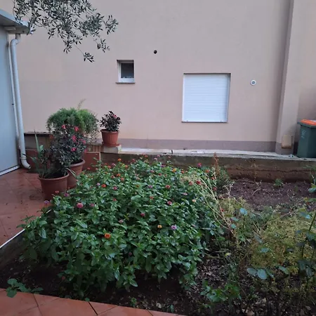 Hana Apartment Zadar