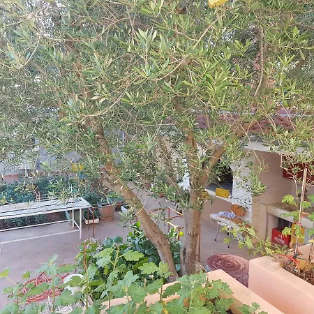 Hana شقة زادار