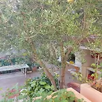 Hana شقة زادار